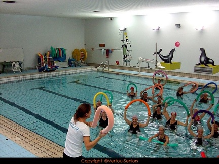 aquagym-vertou-seniors-dec 2014 05