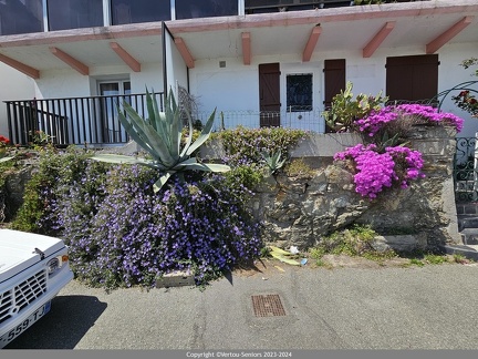 20240606-Decouverte-Belle-Ile-en-mer 21